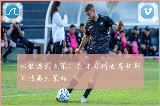 从数据到决策：科学分析世界杯期间的赢利策略