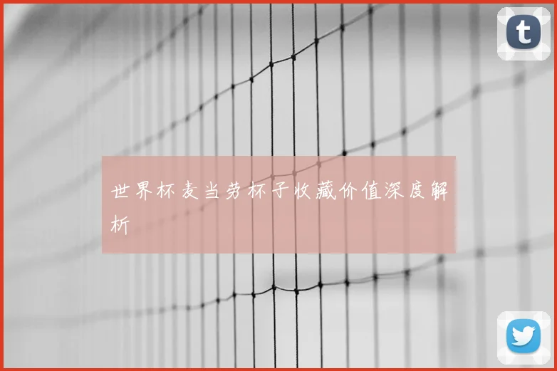 世界杯麦当劳杯子收藏价值深度解析