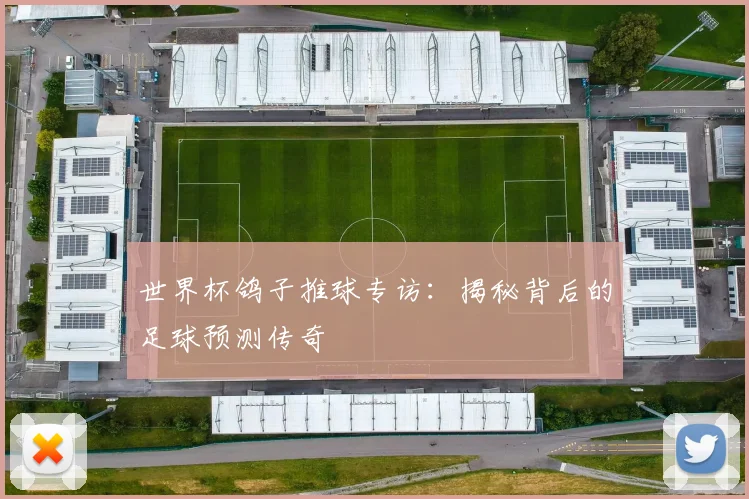 世界杯鸽子推球专访:揭秘背后的足球预测传奇