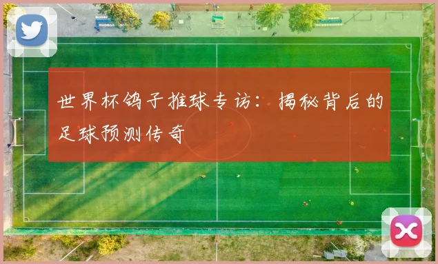 世界杯鸽子推球专访：揭秘背后的足球预测传奇